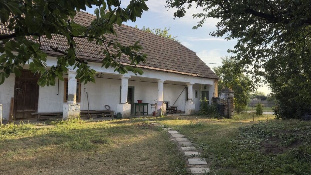 Rezsnyák Péter az alapoktól segít nekünk a felújításban