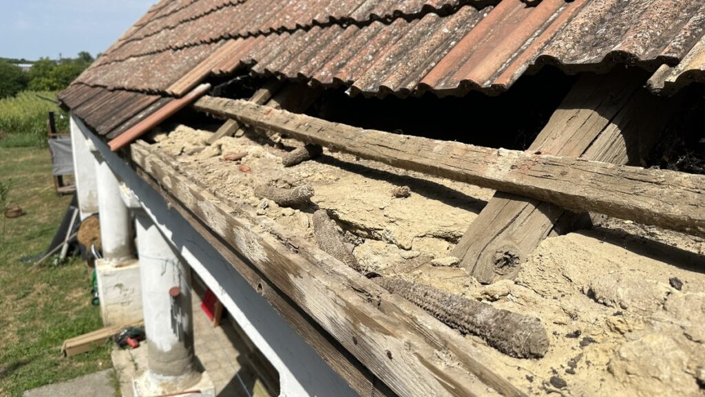 A szerző már mindent látott, és videón is megmutatja élményeit!